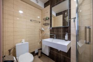 a bathroom with a toilet and a sink and a shower at Apartamenty Pod Lwem in Świdnica +30 photos