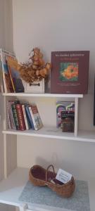 a shelf with a pair of shoes and books at Villa Benvengudo in Villeneuve-lès-Avignon