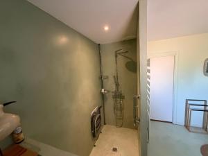 a bathroom with a shower and a sink at gîte du bel étang in Commenailles +27 photos