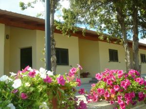 un grupo de flores frente a un edificio en Hotel Samarcanda, en Civitavecchia