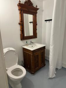a bathroom with a toilet and a sink and a mirror at Nordic Villa Undrom in Undrom