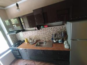 a small kitchen with a sink and a refrigerator at Lovely home shatry in Osh
