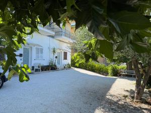 a large white house with a driveway at I Due Gelsi appartamento Green in Monte San Giusto