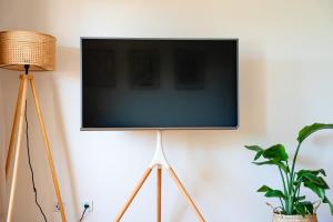 a flat screen tv on a wall with a plant at Seeblick Apartment Meersburg in Meersburg