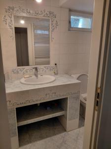 a bathroom with a sink and a mirror and a toilet at Berner Hostel in Bern