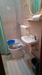a bathroom with a toilet and a sink and a mirror at Apartments Pag Holiday in Pag +29 photos