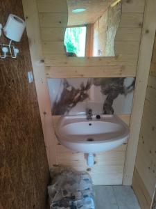 a bathroom with a sink and a mirror at Hiška Nika in Malečnik