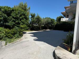a driveway in front of a house with trees at I Due Gelsi appartamento Green in Monte San Giusto