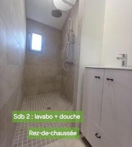 a bathroom with a shower with a sink and a toilet at Gite de Chassigny in Avallon +53 photos