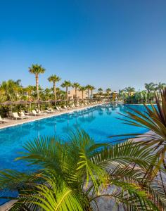 a large swimming pool with chairs and palm trees at Blue Lagoon Resort in Lampi