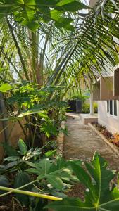 a garden with trees and plants in a building at Marwa in Kannur