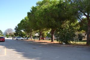 a tree lined street with a car parked on the road at Roberta Apartment in Marcelli