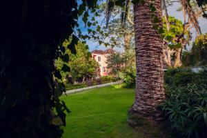 a tree in a yard with a house in the background at Quinta Santo António in Sintra
