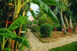 a garden with palm trees and a stone path at Quinta Santo António in Sintra
