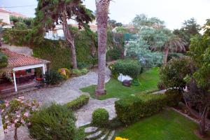 an aerial view of a garden with a palm tree at Quinta Santo António in Sintra