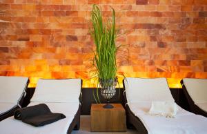 two beds in a room with a plant on the wall at Nagelschmiede in Münsingen +25 photos