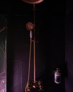 a bathroom with a shower with a hair dryer at La Suite Magique du Sorcier in Nîmes