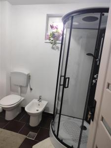 a bathroom with a toilet and a glass shower at La Daniela in Făgăraş
