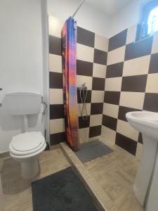 a bathroom with a toilet and a sink at La Daniela in Făgăraş
