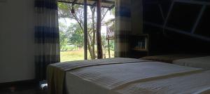 a bedroom with two beds and a large window at Peacock Lake Villa in Habarana