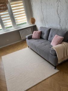 a living room with a gray couch and pink pillows at Modern Apartament Zakole in Konin +1 photo