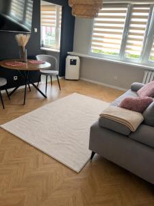 a living room with a couch and a table at Modern Apartament Zakole in Konin