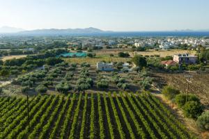 an aerial view of a vineyard and a city at Ampeli Residences-Sea view-Private Pool in Zipárion