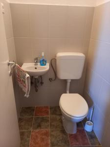 a bathroom with a toilet and a sink at Hilly house - Vis in Vis +17 photos
