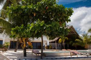 Ein Baum vor einem Gebäude mit einem Pool in der Unterkunft Moonshine Uroa Boutique Hotel in Uroa + 101 Fotos