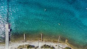 an aerial view of a beach with the ocean at Apartments 2A in Petrcane