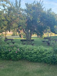a group of picnic tables in a park with flowers at Ostrowo Młyn in Wągrowiec +22 photos