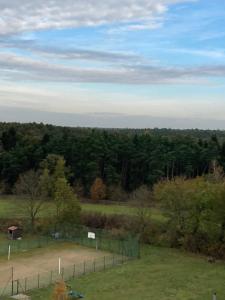 a baseball field with a fence in a field at Ostrowo Młyn in Wągrowiec
