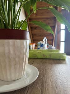 a plant in a white pot sitting on a table at Piazza San Giorgio B&B in Serrano