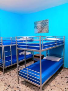 a bunk bed room with blue walls and bunk beds at Rifugio lo Schioppo in Morino