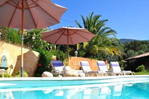 un grupo de sillas y sombrillas junto a una piscina en Villa Vetricella Corse Sud en Olmeto