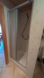 a shower with a glass door in a bathroom at Petit studio à Lourtier in Lourtier