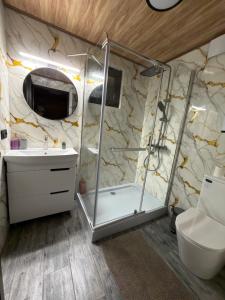 a bathroom with a shower and a sink and a toilet at Royal Ranch Nature Resort in Orhei