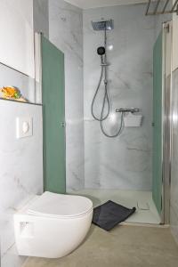 a bathroom with a shower and a toilet and a sink at Ferienwohnung Brück in Bitterfeld +38 photos