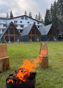 a fire pit in a field in front of a building at Chalets by Hotel Transalpin in Obarsia-Lotrului