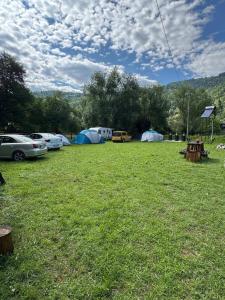 a group of tents in a field with cars at Casuta -Dor de Munte -Ceahlau in Bistricioara