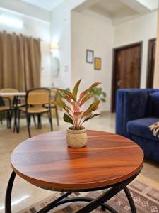 a plant sitting on a table in a living room at Hotel Kashi Remark Suites By G K Group in Varanasi +20 photos