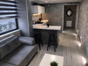 a living room with a couch and a kitchen at Reco Luxury Suite in Kavaklıdere