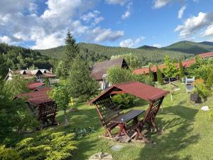a wooden bench sitting in the grass in a yard at Pensiunea Grande Lepsa in Lepşa