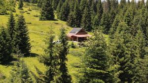 a house in the middle of a field with trees at Scardus Lodge in Tetovo +2 photos