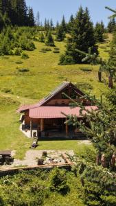 a log cabin on a hill with trees and grass at Scardus Lodge in Tetovo