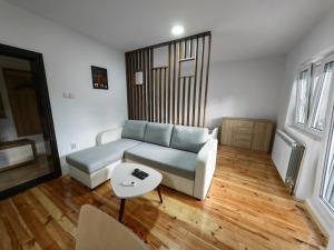 a living room with a couch and a table at Apartman Ploče in Bajina Bašta +40 photos