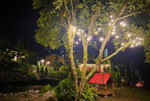 a tree with lights in a garden at night at Bản Bọc Chăm Chứng in Làng Vach