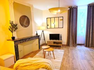 a living room with a fireplace and a television at 1A Liberte in Saint-Affrique