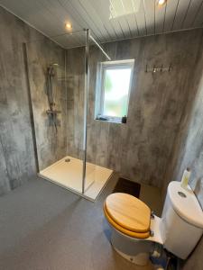 a bathroom with a toilet and a glass shower at The Cottage Aberlour in Aberlour +15 photos