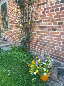a bunch of flowers in front of a brick wall at Försterei Kalkhorst Ferienhaus am Naturschutzgebiet mit großem Garten in Neustrelitz
